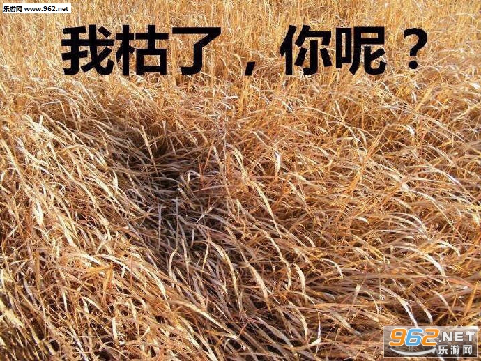 ��ί���岻���˱����ͼƬ��ͼ6