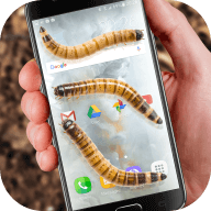 Worm crawls on Phone joke(������ֻ�����������)