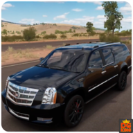 USA Car Driving Simulator 3d����������ʻģ����3D��׿��