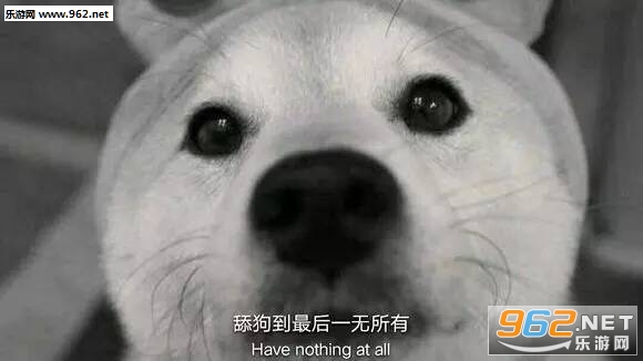��Ӧ�ұ����˺����򹷱������ͼ2
