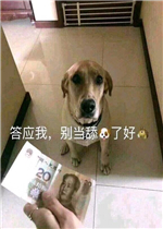 ��Ӧ�ұ����˺����򹷱����