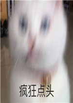 ����ͷ�����