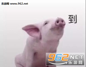 ����������ͼƬ��ͼ2