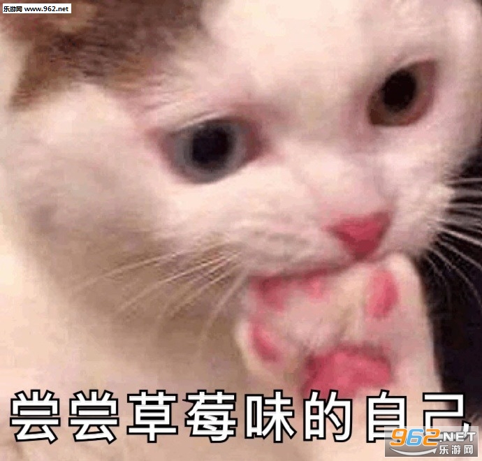 ��������㲻���ð������ͼƬ��ͼ3