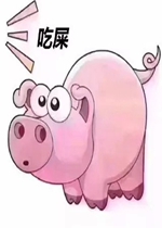 ����������ʺ�����