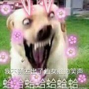 ��ЦͼƬ�������ͼ4