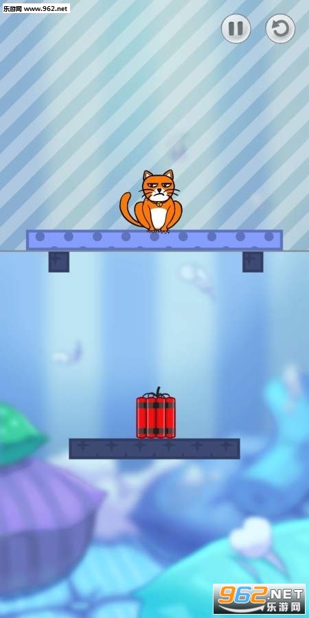 ���è��Hello Cats�ֻ����ͼ3