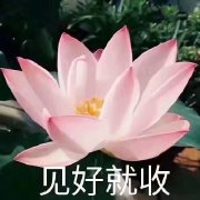 �ҿ�������ͼƬ��ͼ1