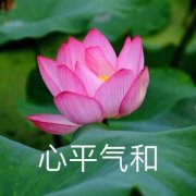 �ҿ�������ͼƬ��ͼ0