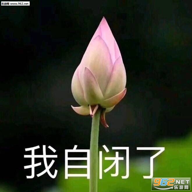 �ҿ�������ͼƬ��ͼ3