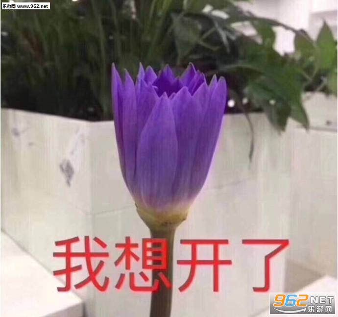 �ҿ�������ͼƬ��ͼ4