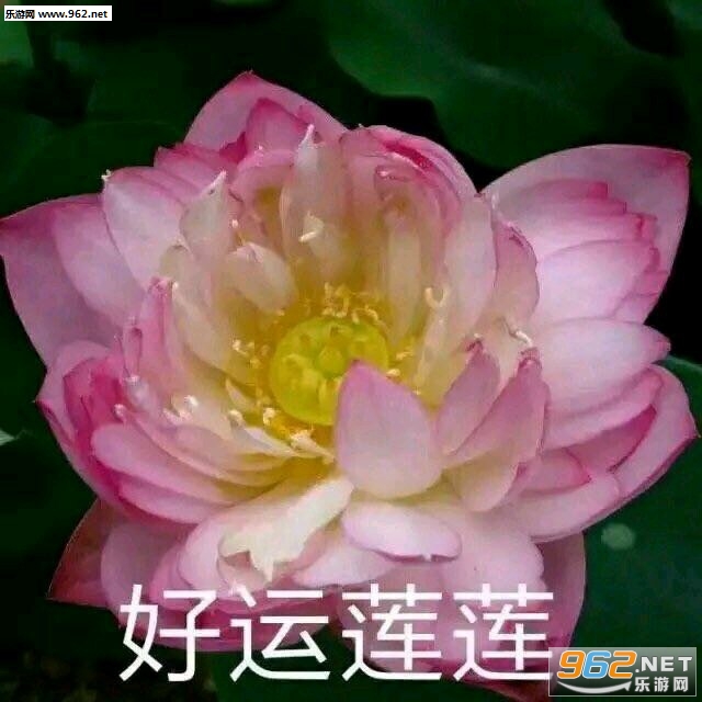 �ҿ�������ͼƬ��ͼ5