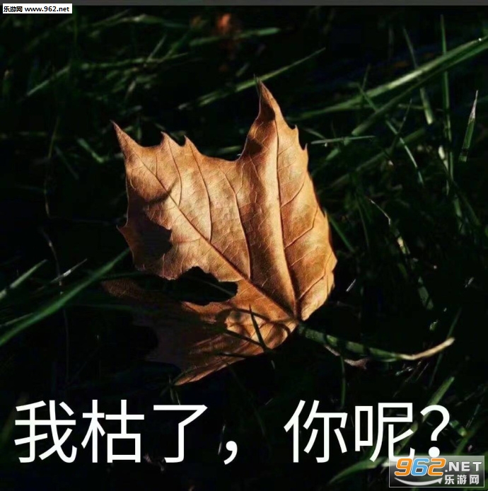 ���ȸ�Ϊ�������ͼƬ��ͼ0