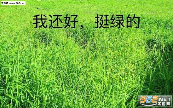 ���ȸ�Ϊ�������ͼƬ��ͼ1