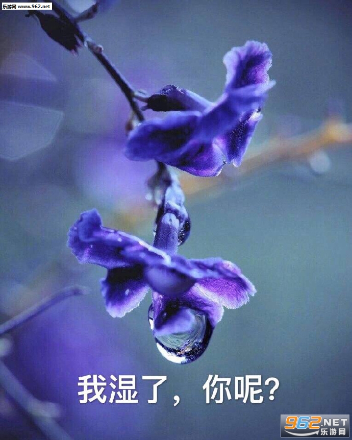 ���ȸ�Ϊ�������ͼƬ��ͼ5