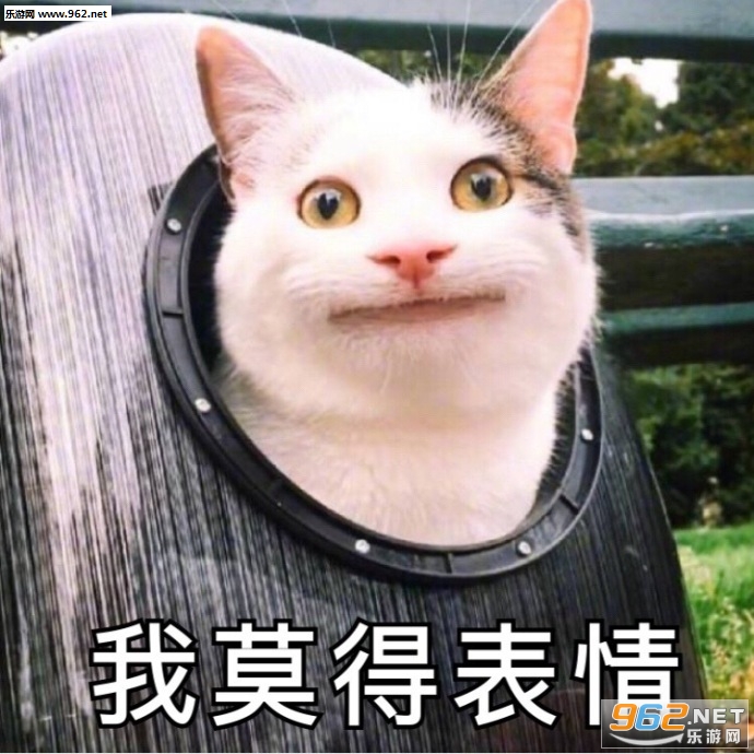 ��������������ͼƬ��ͼ7