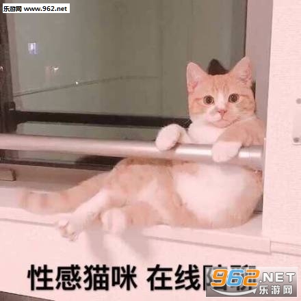 ���һ�ɱ����ͼƬ��ͼ7