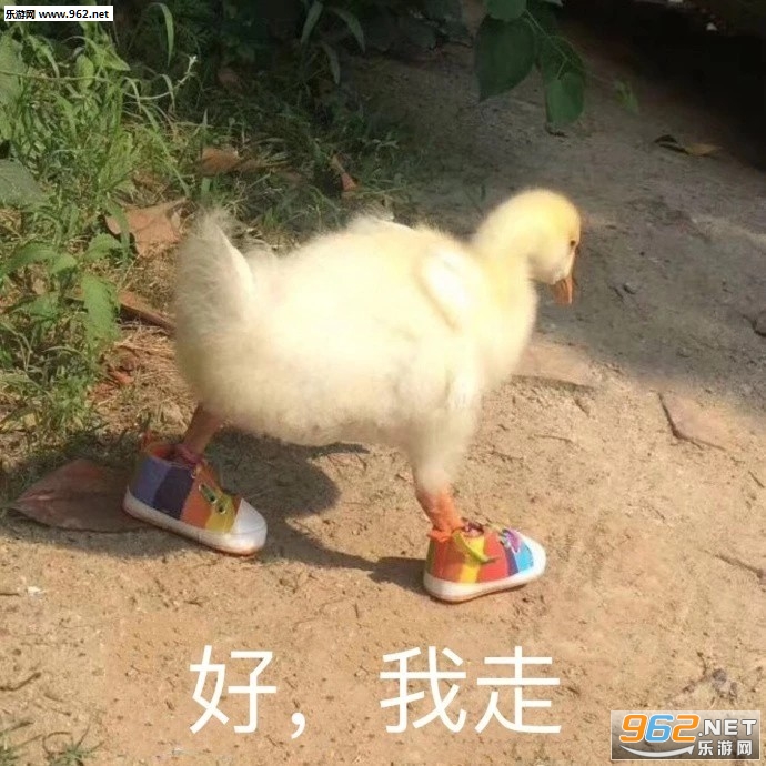 �н�Ŀcall�ұ����ͼƬ��ͼ9