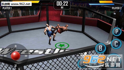 Real Wrestling 3D��׿���ͼ1