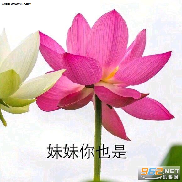 ҩ����������ͼƬ��ͼ0