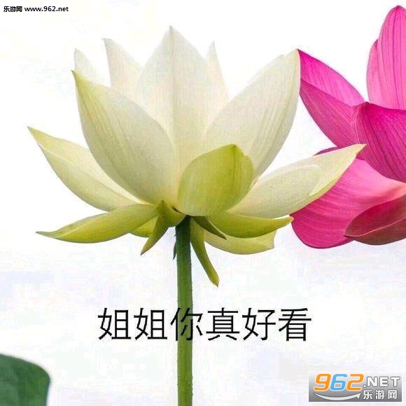ҩ����������ͼƬ��ͼ1