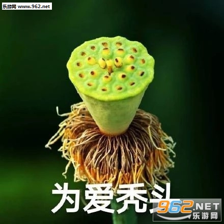 ҩ����������ͼƬ��ͼ9