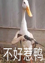 IGȫ���ܲ��˱����
