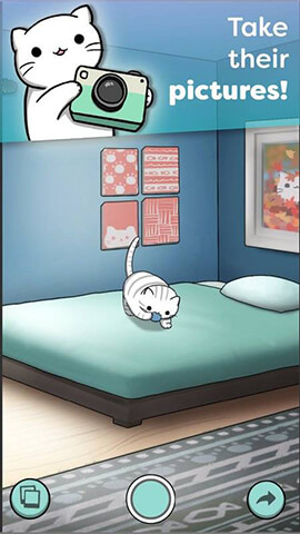 Catchu(èè�ղؼҰ�׿��)��ͼ0