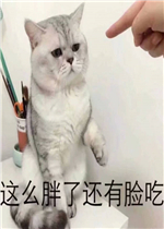 ��ô���˻������Ա����ͼƬ