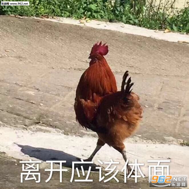 Ԭ¡ƽ���ǳԵ�̫���˱������ͼ9