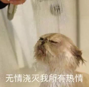 ���齽����������������