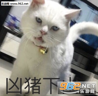 ��ҵ��Ǯ�������Ϊһ�����ͼƬ��ͼ1