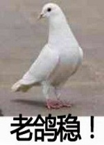 �ϸ��ȱ����