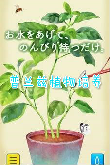 普兰兹植物培养安卓版 普兰兹植物培养安卓版