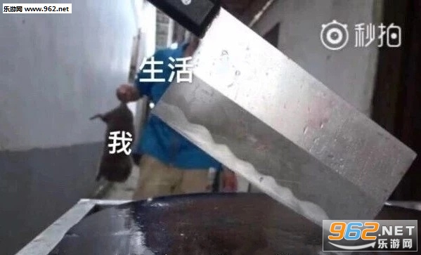 ��˾����Ҫ��������Ա�������