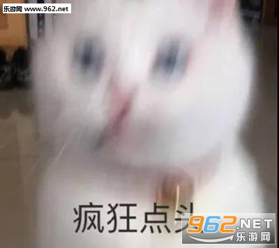 �㹾����ʲô�ر����ͼƬ