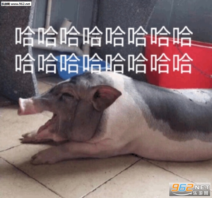 ���������治������Ҫжױ�˱����