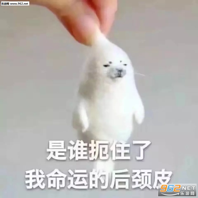 ���������治������Ҫжױ�˱����