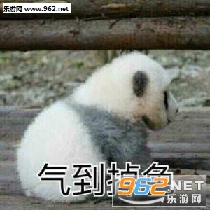 ���������治������Ҫжױ�˱����