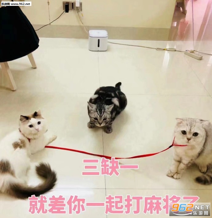 �����ǲ��ҷ�����ֻ��͵͵�����������ӱ����