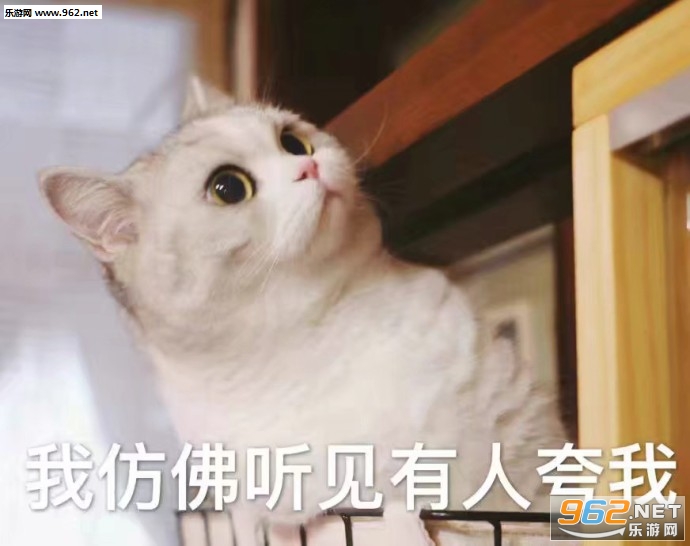 �����ǲ��ҷ�����ֻ��͵͵�����������ӱ����