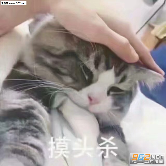 �����ǲ��ҷ�����ֻ��͵͵�����������ӱ����
