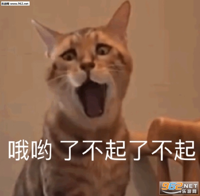 �����ǲ��ҷ�����ֻ��͵͵�����������ӱ����