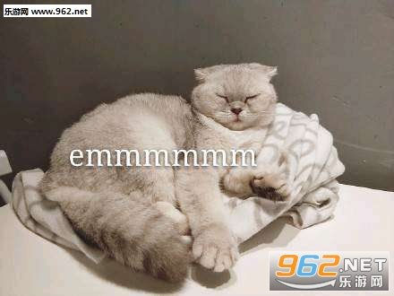 �����ǲ��ҷ�����ֻ��͵͵�����������ӱ����