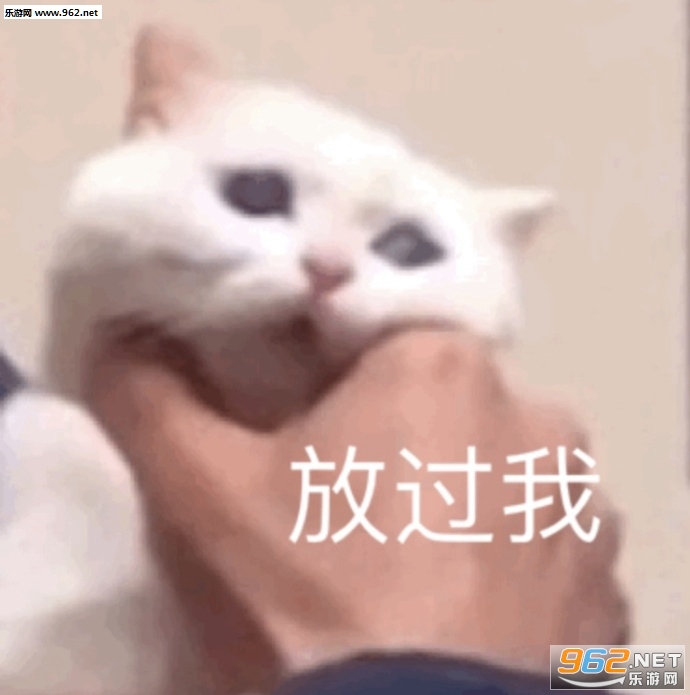 �����ǲ��ҷ�����ֻ��͵͵�����������ӱ����