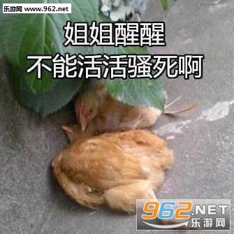 Χ�۽����ֳ������ͼƬ