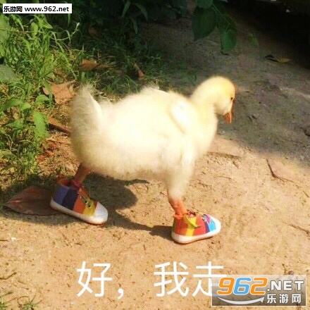 ���Ǹ����˵����ǲ������ȳ�����