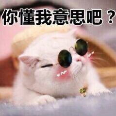 ���Ǹ����˵����ǲ������ȳ�����