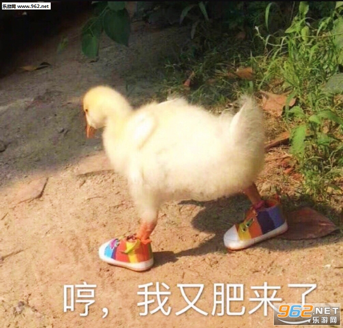 ���Ǹ����˵����ǲ������ȳ�����