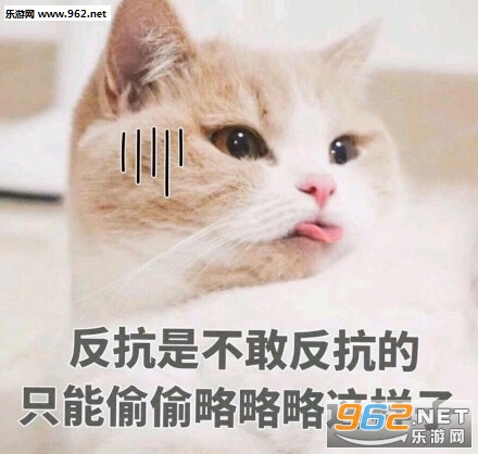 ���Ǹ����˵����ǲ������ȳ�����